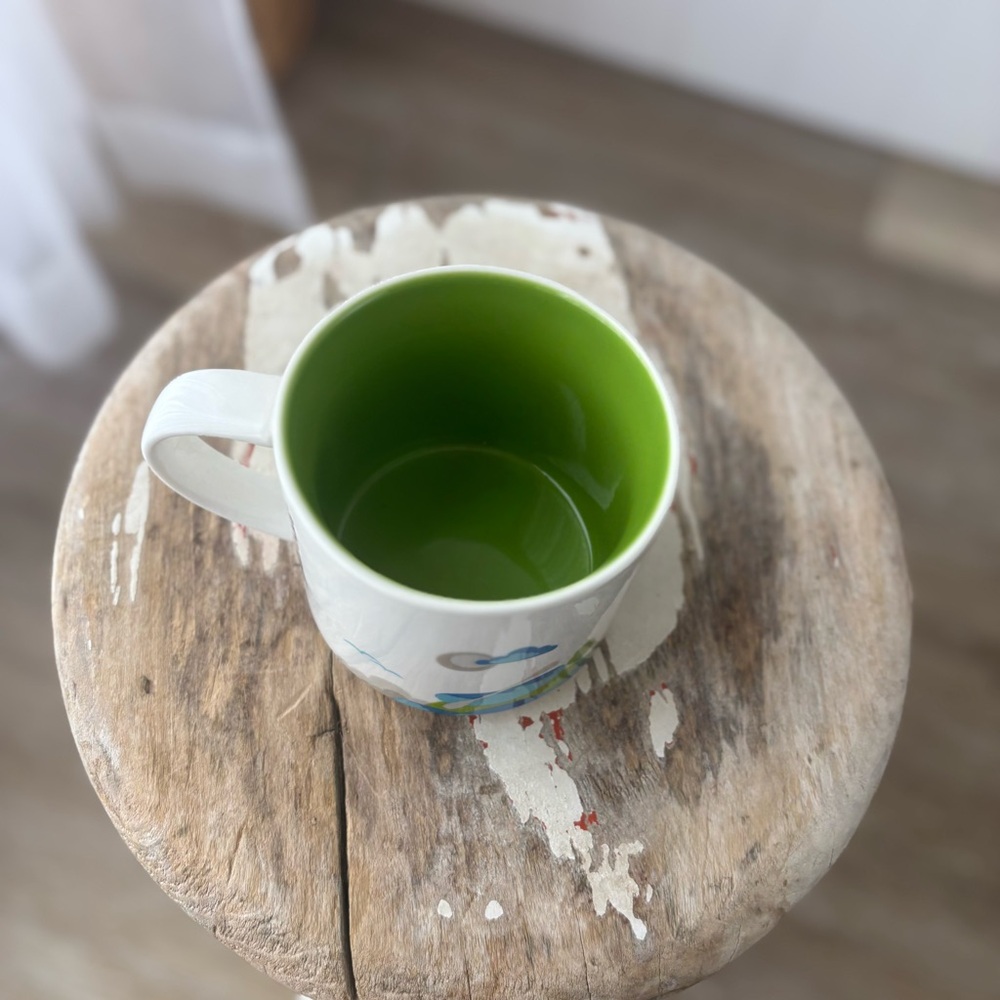 Starbucks You Are Here Charlotte Mug Green Interior White Blue Collectible - Picture 3 of 4